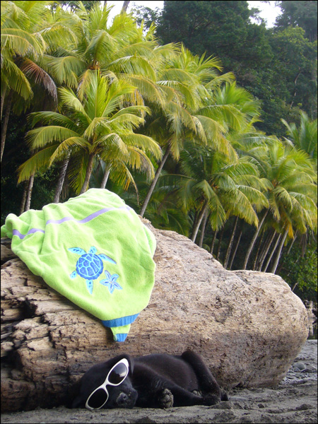 dominical Dominical Costa Rica